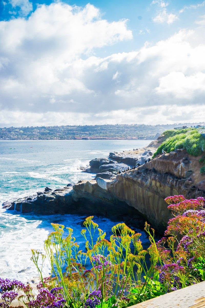 La Jolla coastline from a surprise vacation