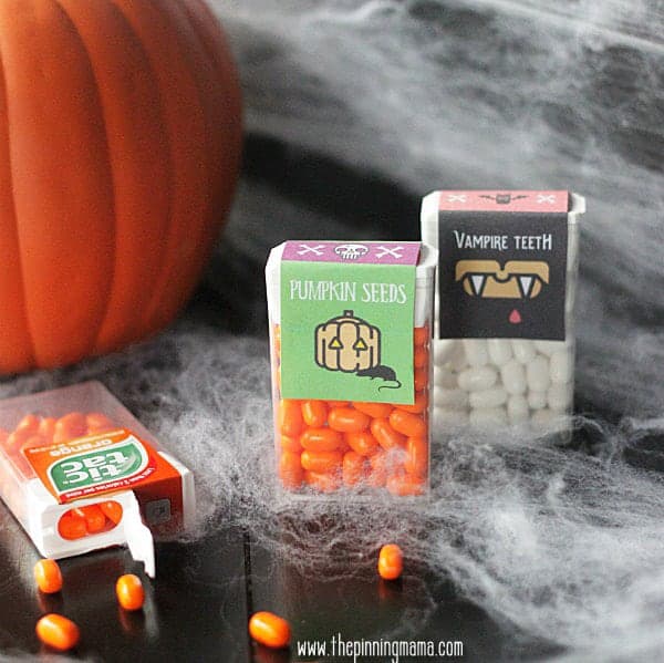 Halloween party favors