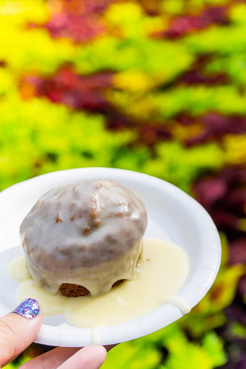 Carrot cake from Disney food and wine festival