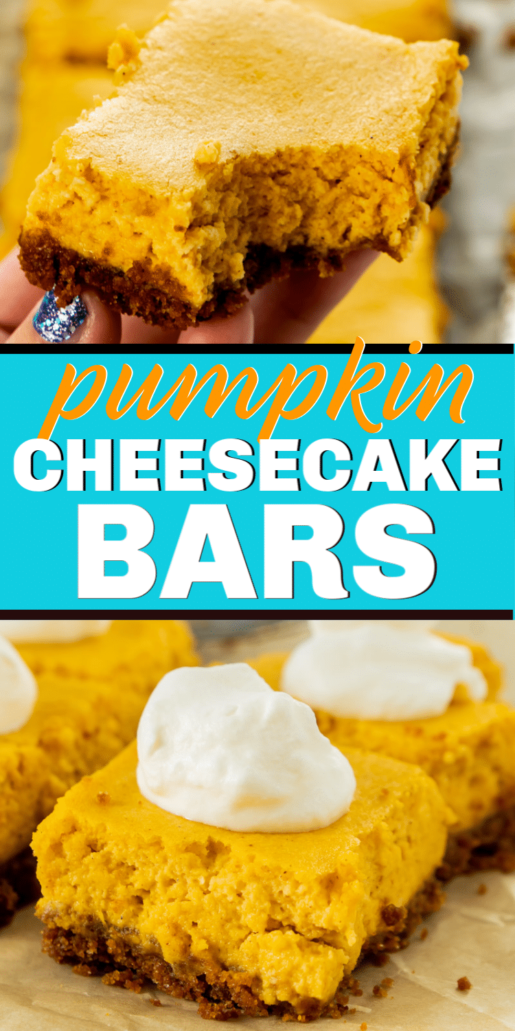 Pumpkin Cheesecake Bars With A Graham Cracker Crust Play Party Plan pumpkin-cheesecake-bars-with-a-graham-cracker-crust-play-party-plan