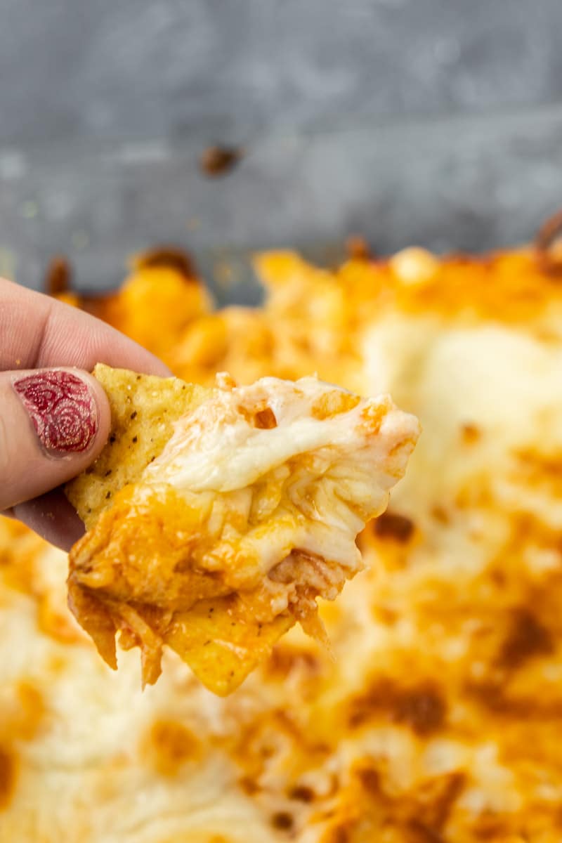 A chip with the best buffalo chicken dip