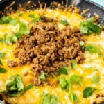 garnished queso fundido