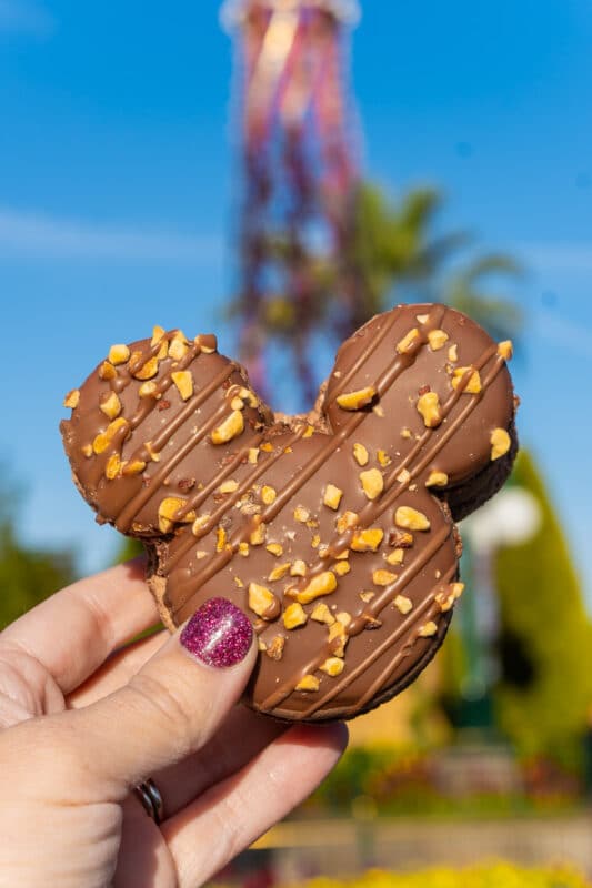 Mickey macaron at Disneyland Food and Wine festival