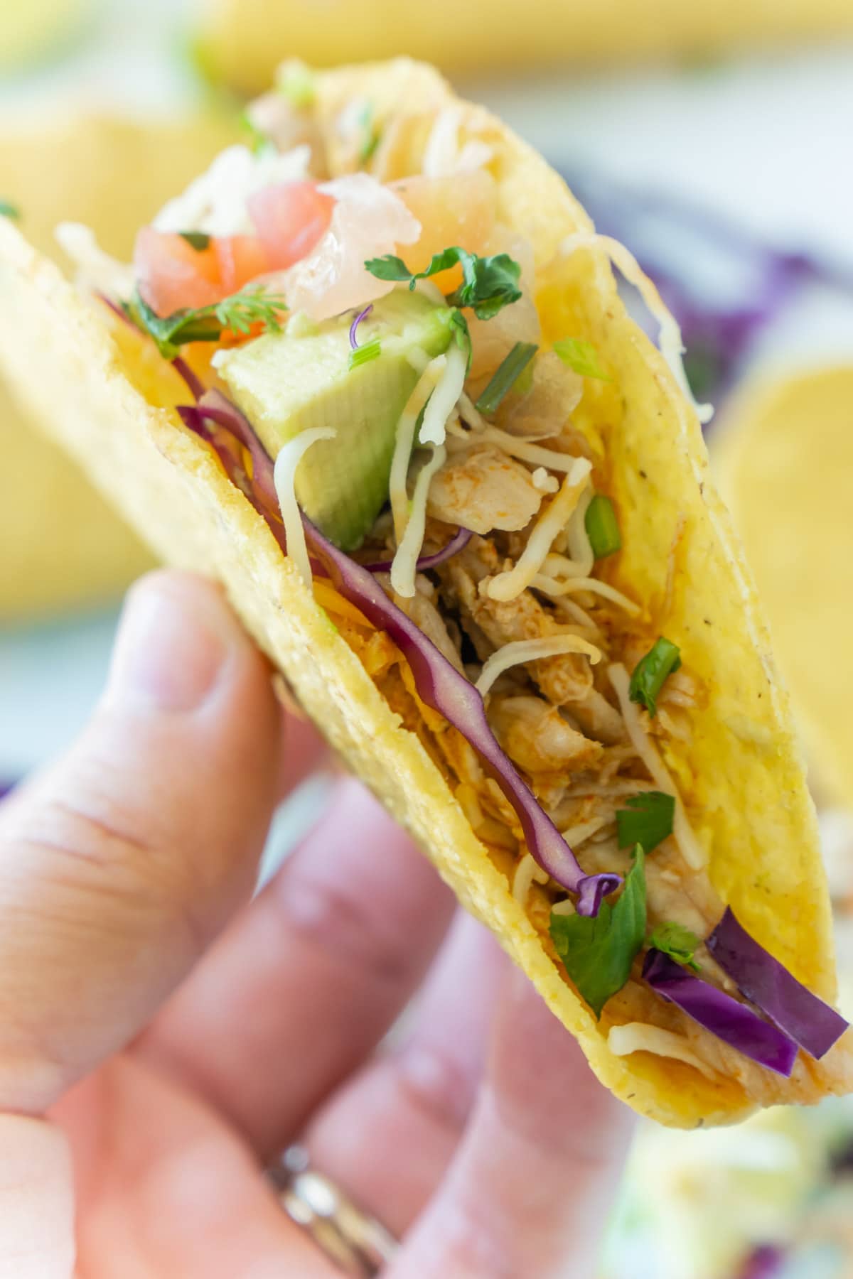 Someone holding a shredded chicken taco