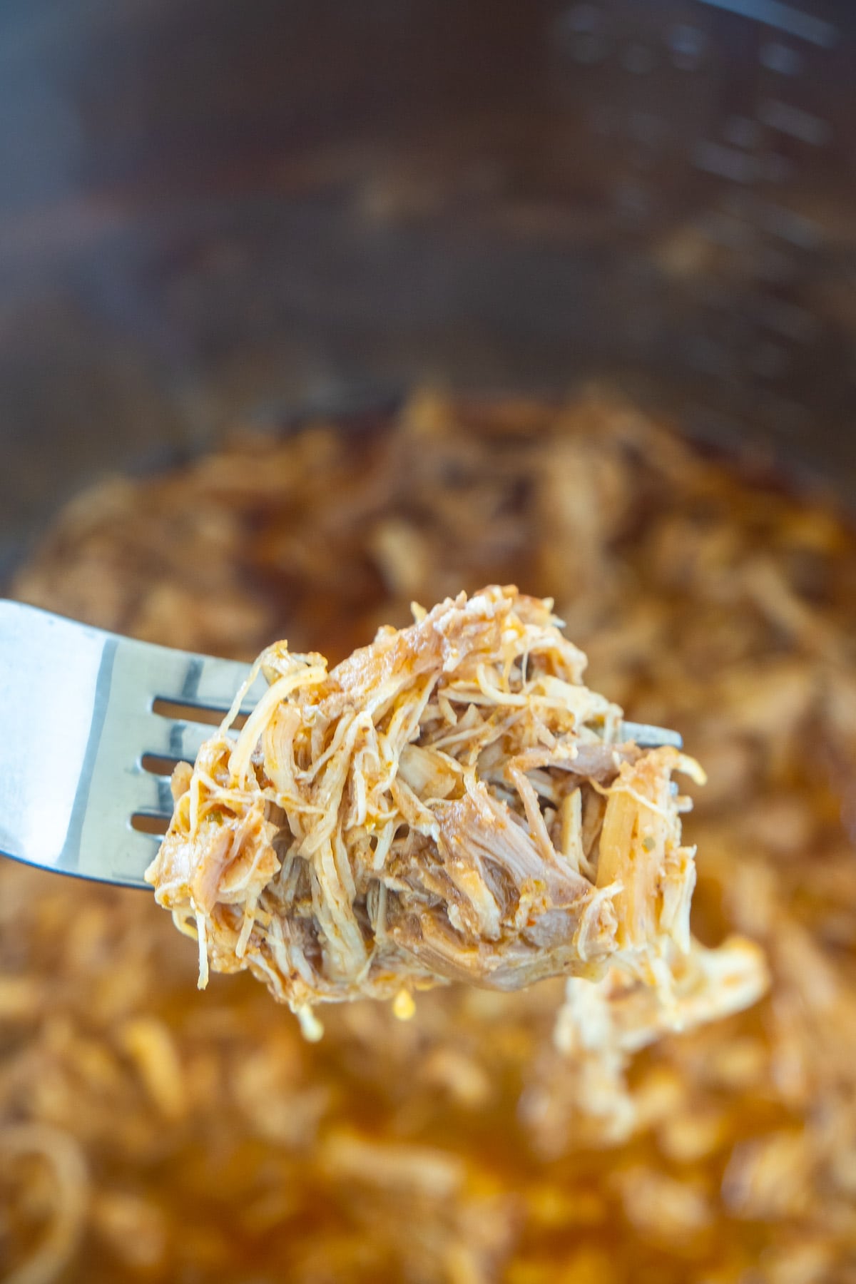 fork full of Instant Pot chicken taco meat