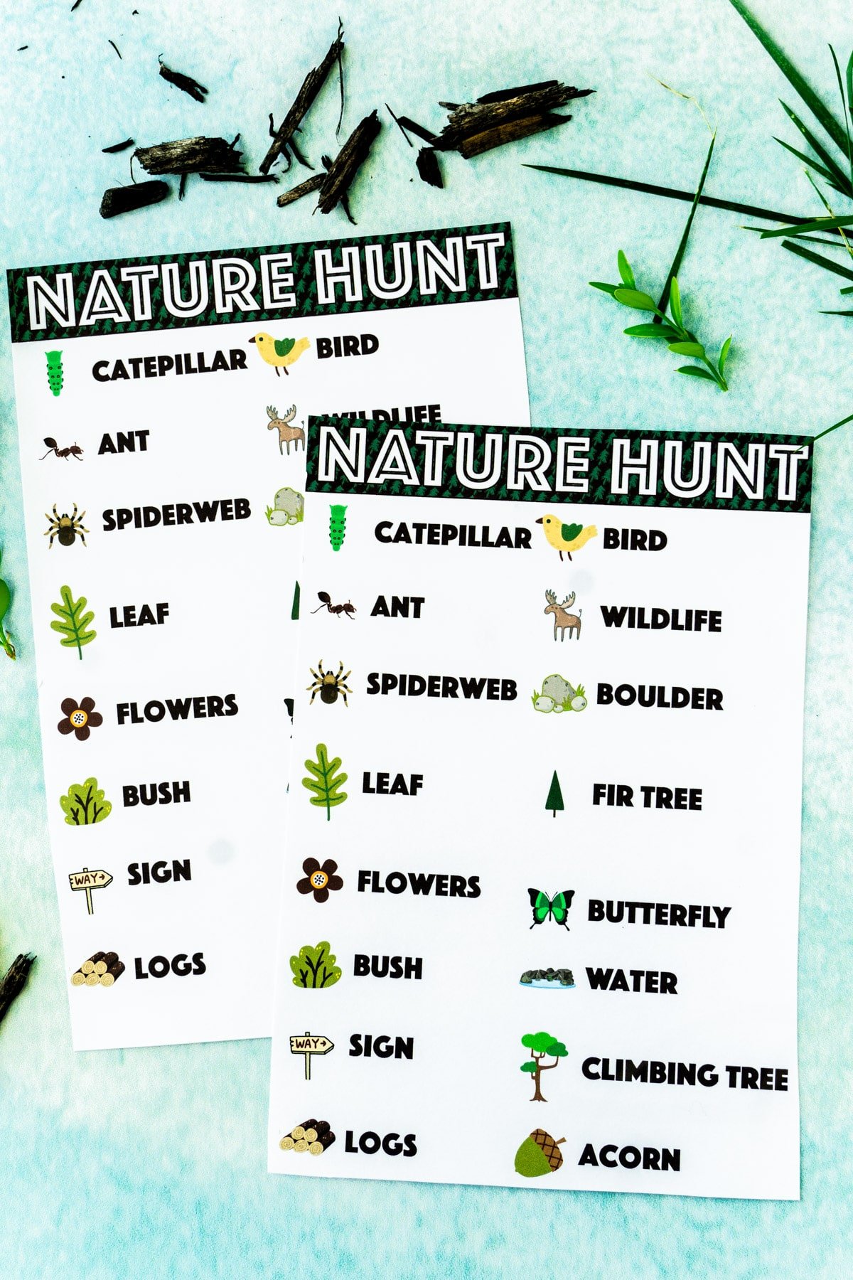 Printed out nature scavenger hunt with leaves and trees