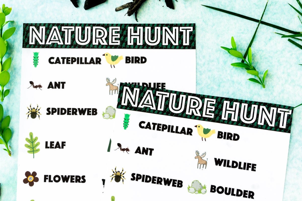 Fun Nature Scavenger Hunt for Kids  Free Printable   - 58