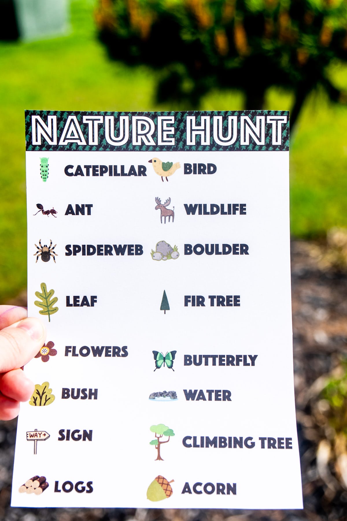 Fun Nature Scavenger Hunt For Kids Free Printable Play Party Plan