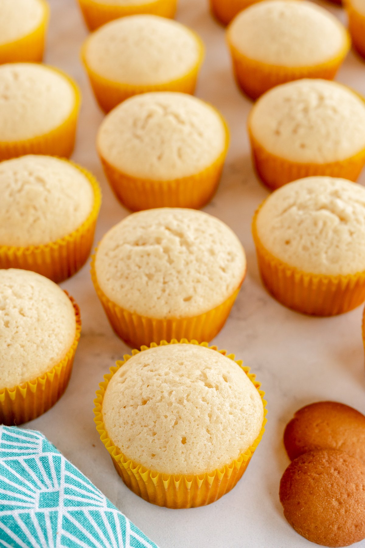 vanilla cupcakes in yellow cupcake wrappers