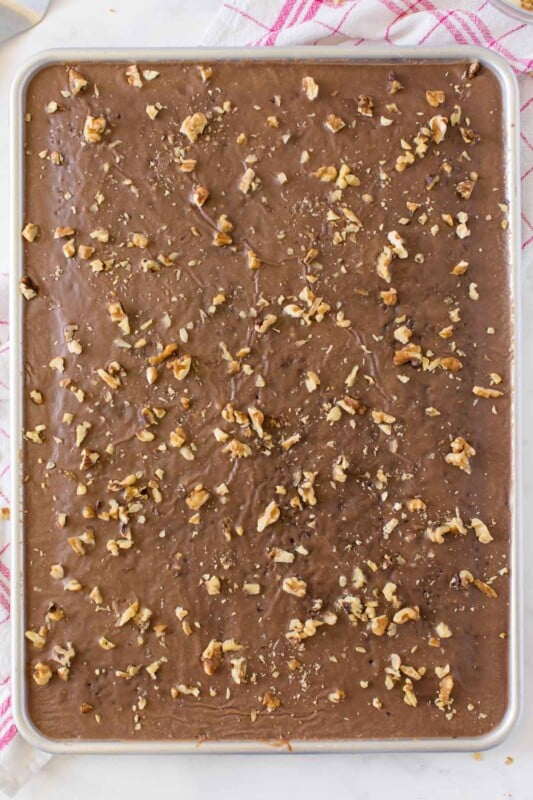 Chocolate brownie cake with walnuts in a sheet pan