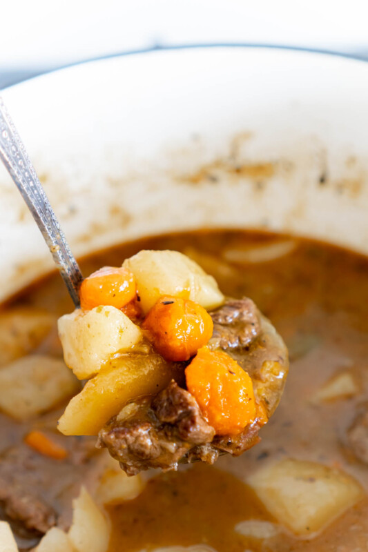 Ladle full of beef stew above a pot of beef stew