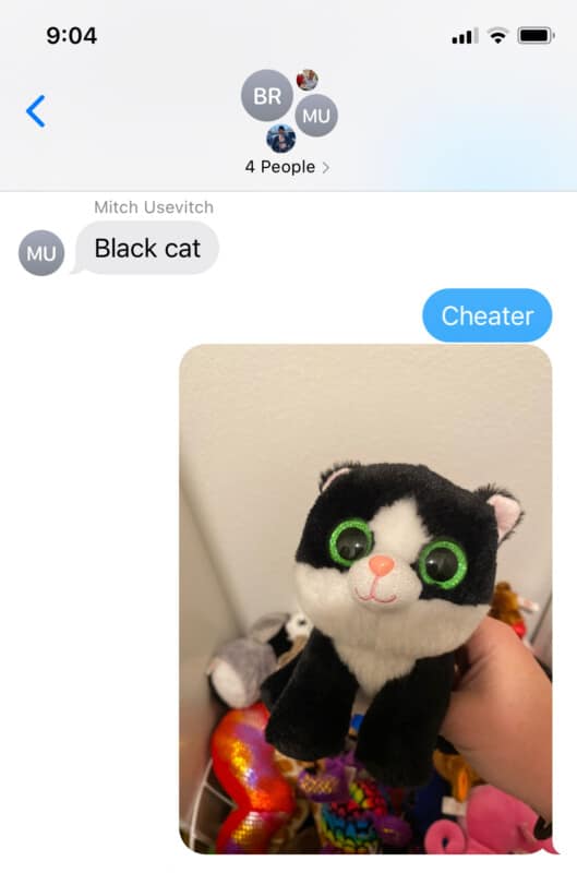 A photo screenshot with an image of a stuffed black cat