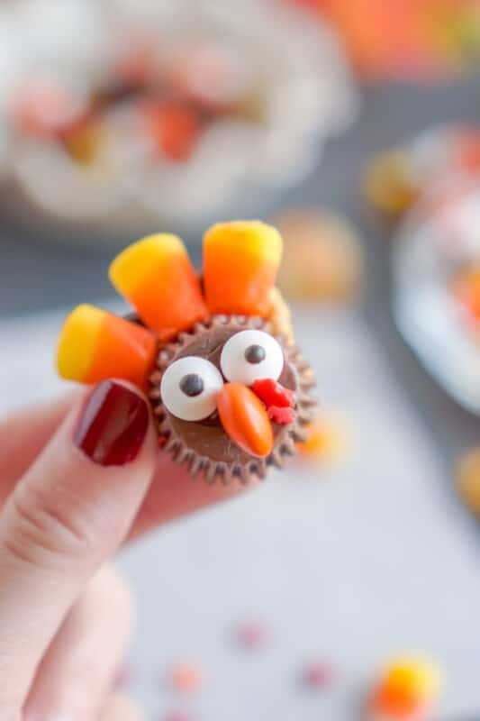 A hand holding a chocolate turkey made out of candy