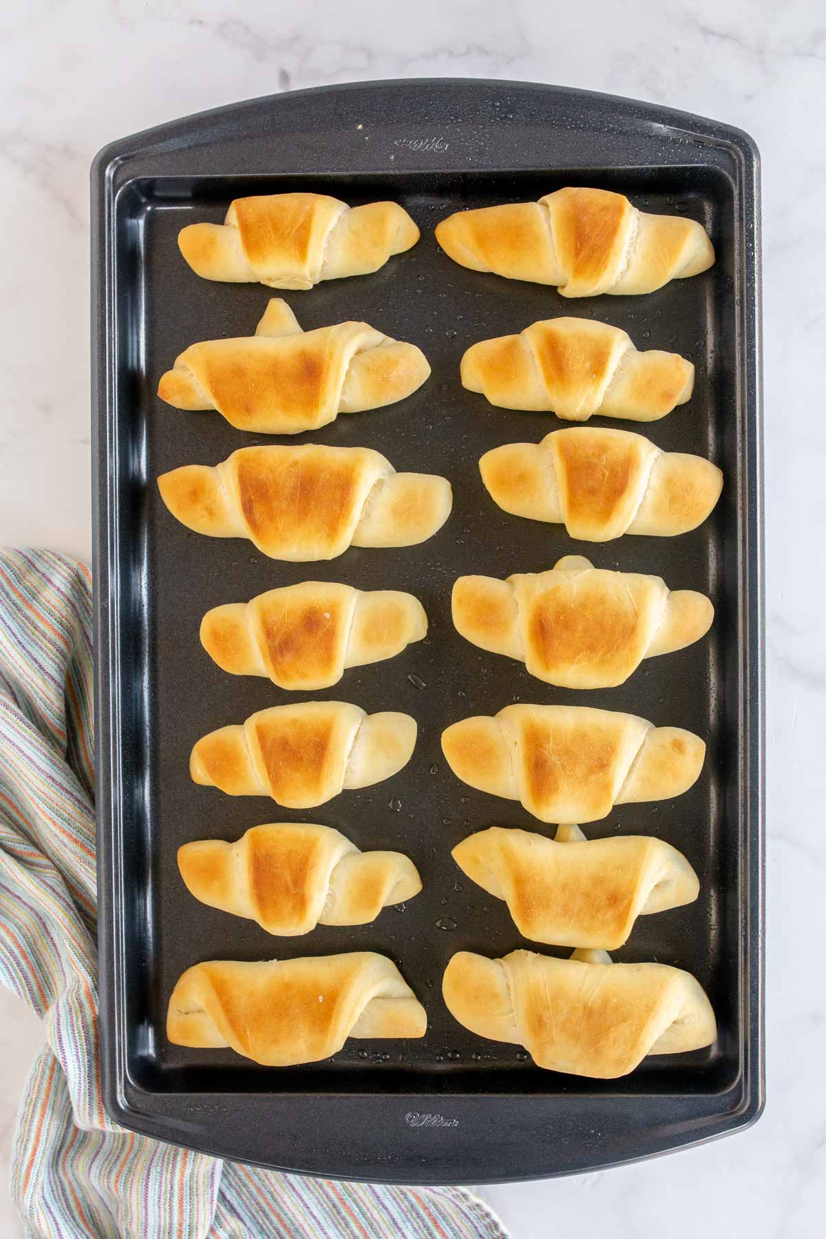 Tray of homemade crescent rolls on a baking sheet