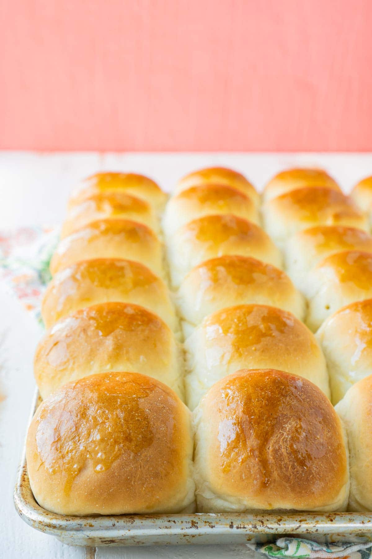 A baking sheet full of homemade yeast rolls