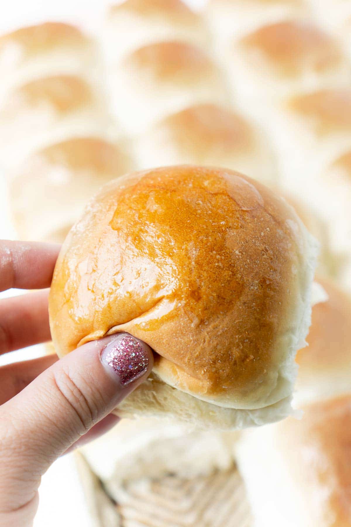 Hand holding a fluffy dinner roll