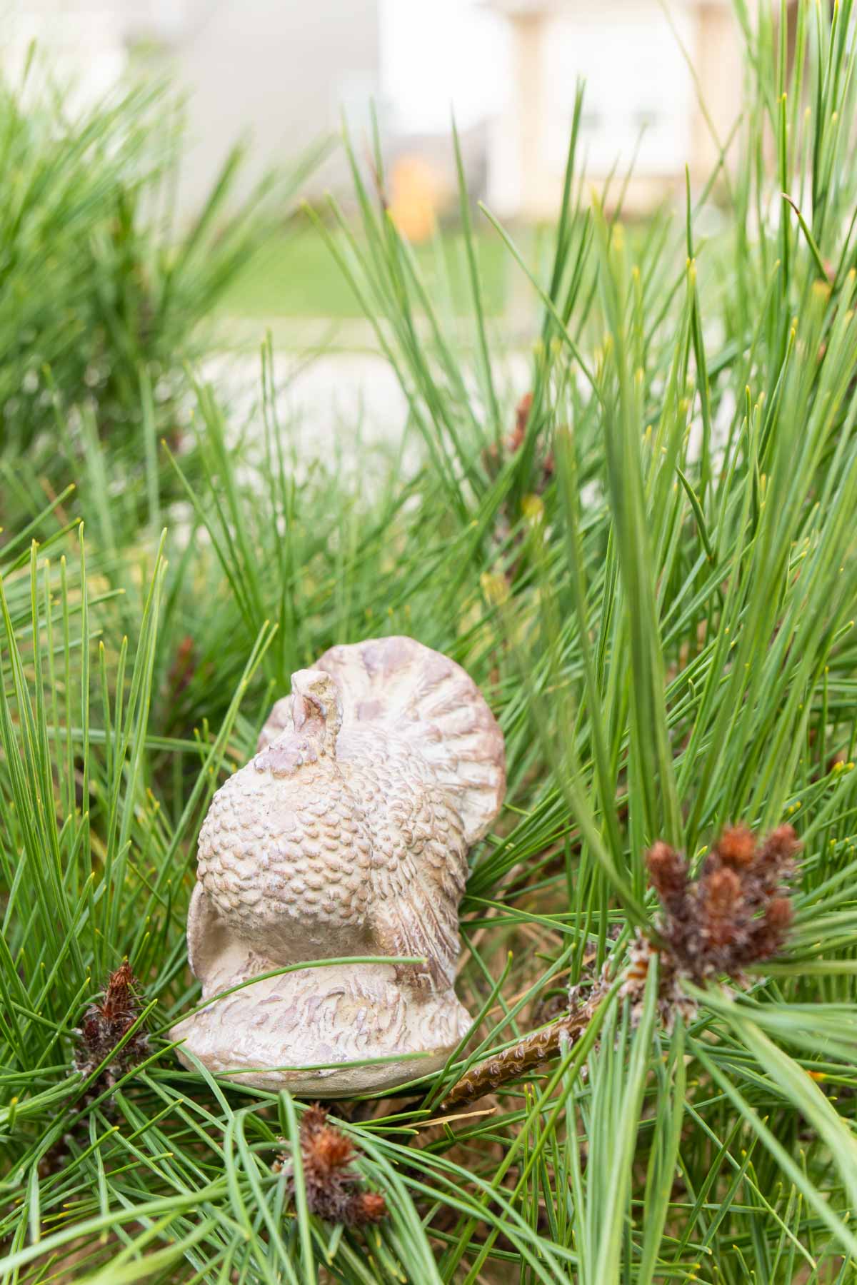 Ceramic turkey hiding in a tree