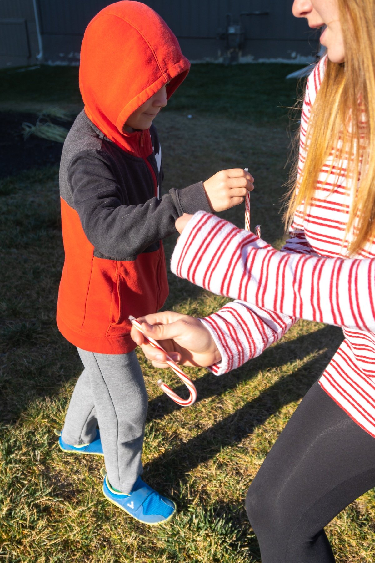 Woman and child hanging candy canes to each other