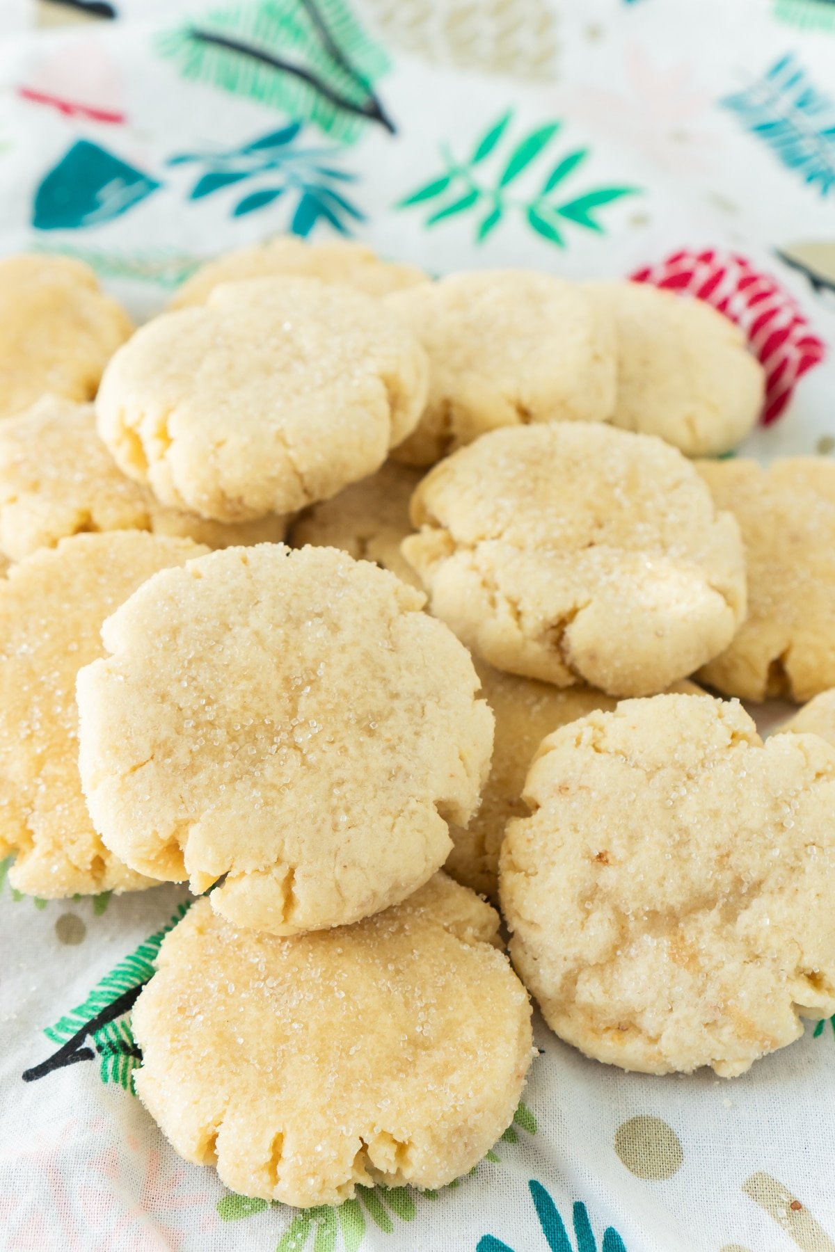 pile of small orange sugar cookies