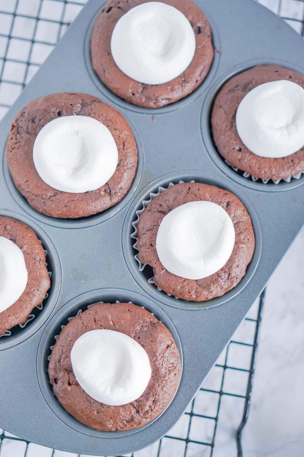 Hot chocolate cupcakes with marshmallows on top