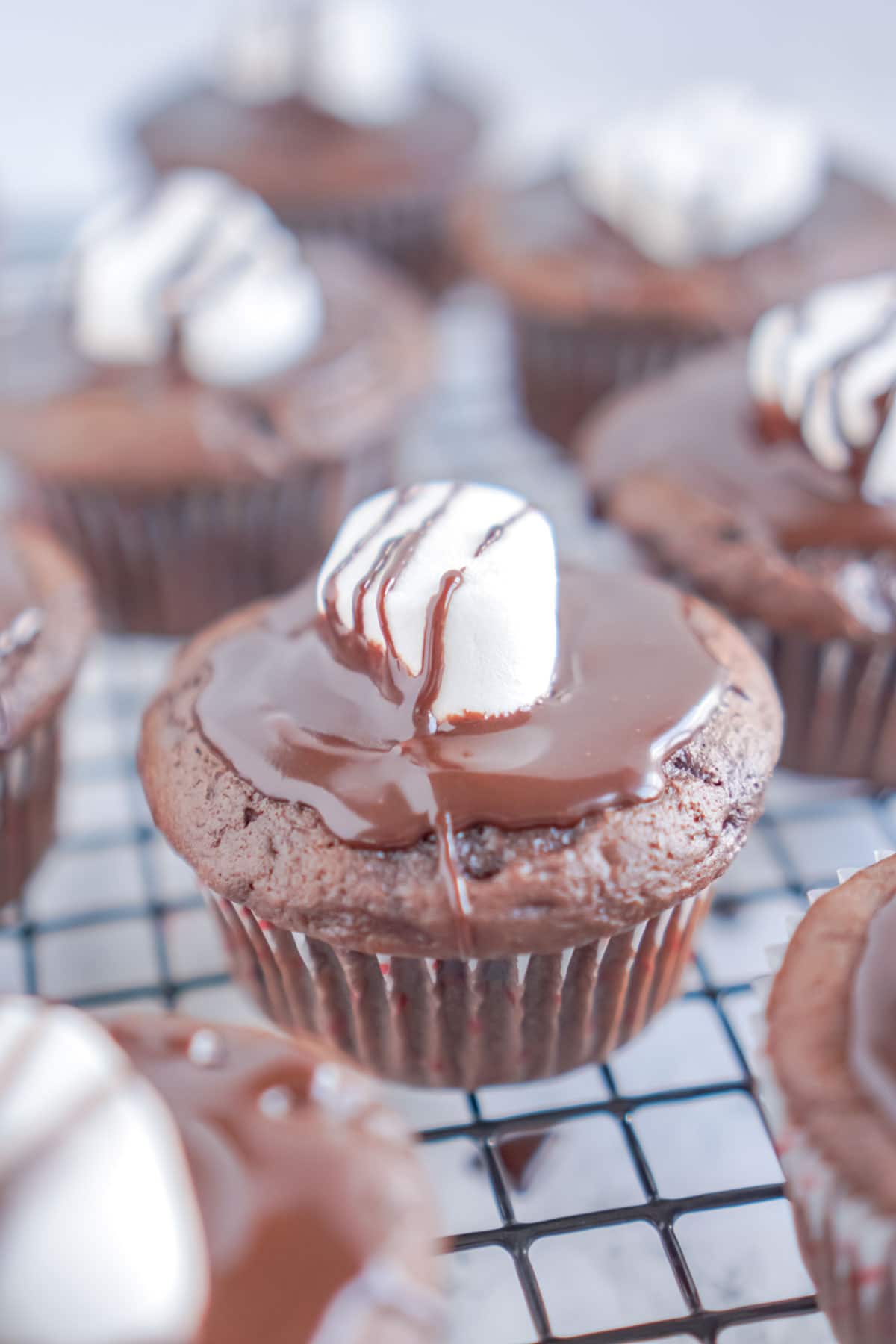 Baking rack full of hot chocolate cupcakes