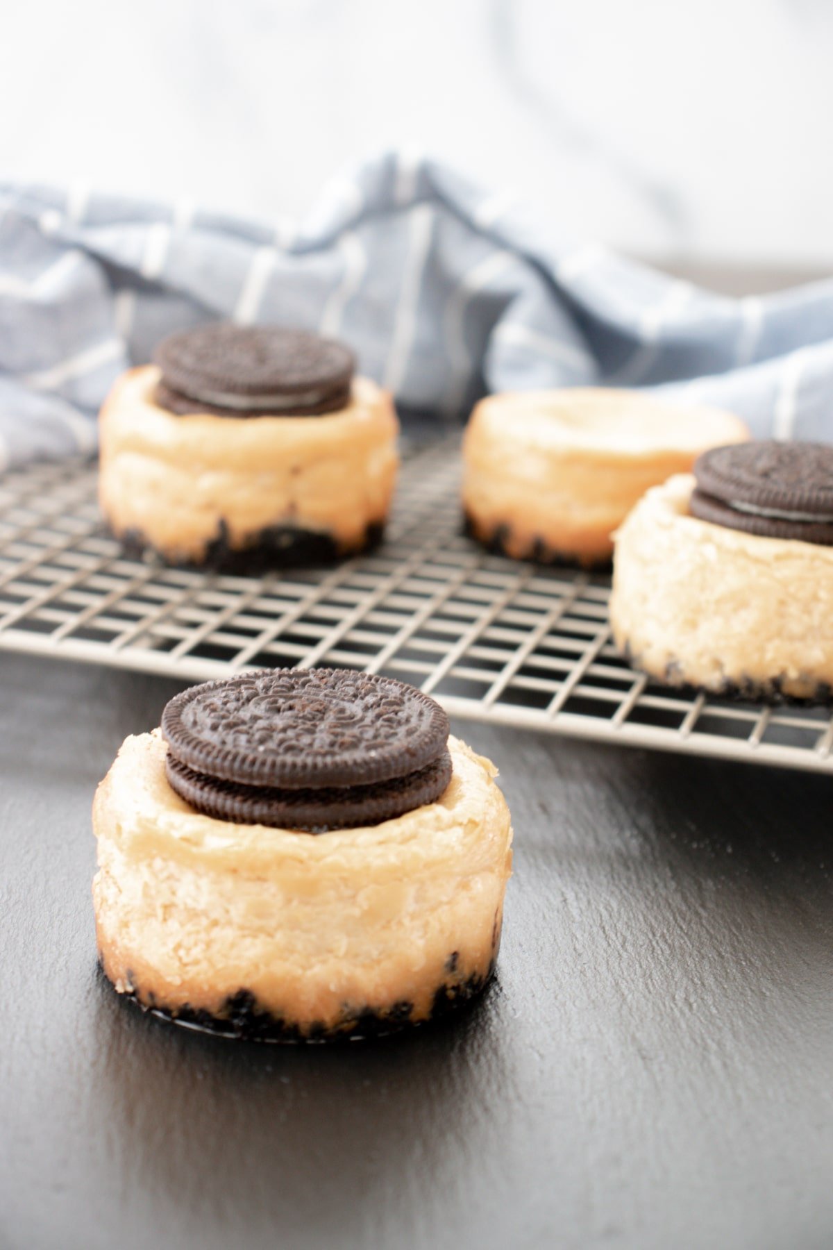 Mini Oreo cheesecake topped with an Oreo