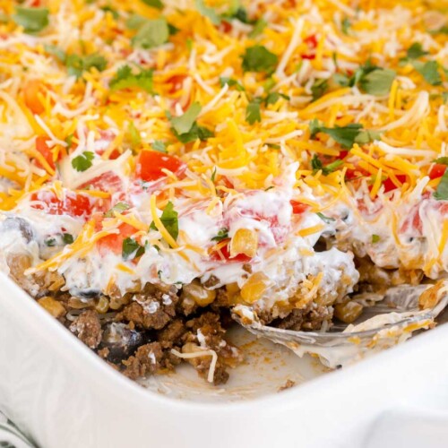 Taco Dip Tray - Your Favorite Party Dip!