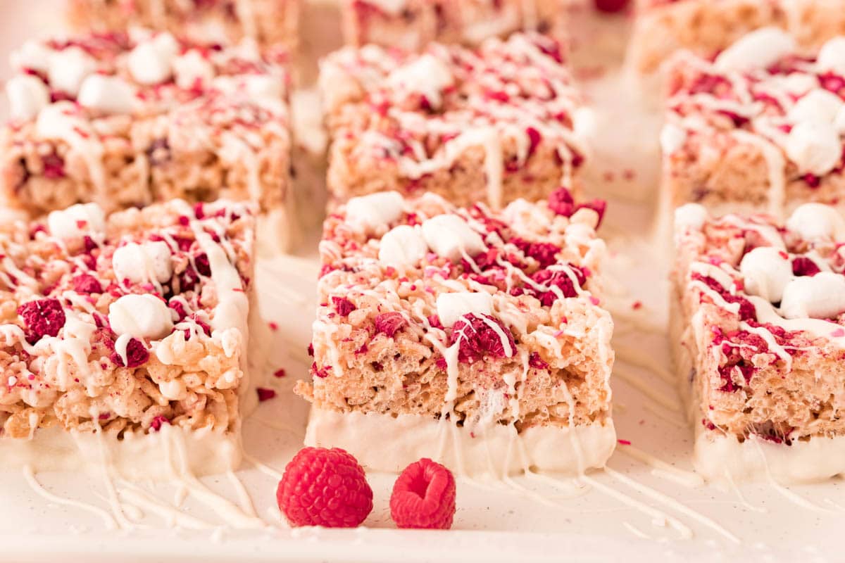 Chocolate Dipped Rice Krispie Treats