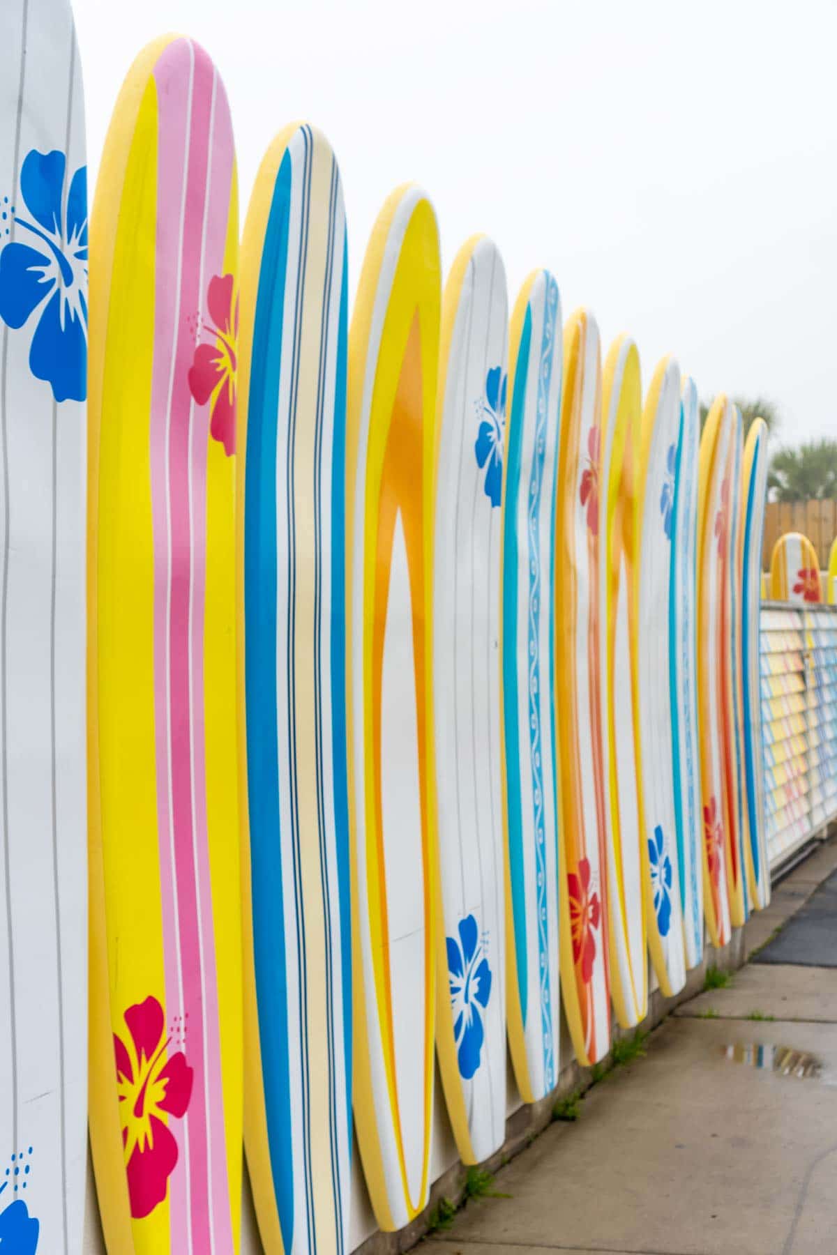 Surfboards on a wall at Margaritaville Lake Conroe