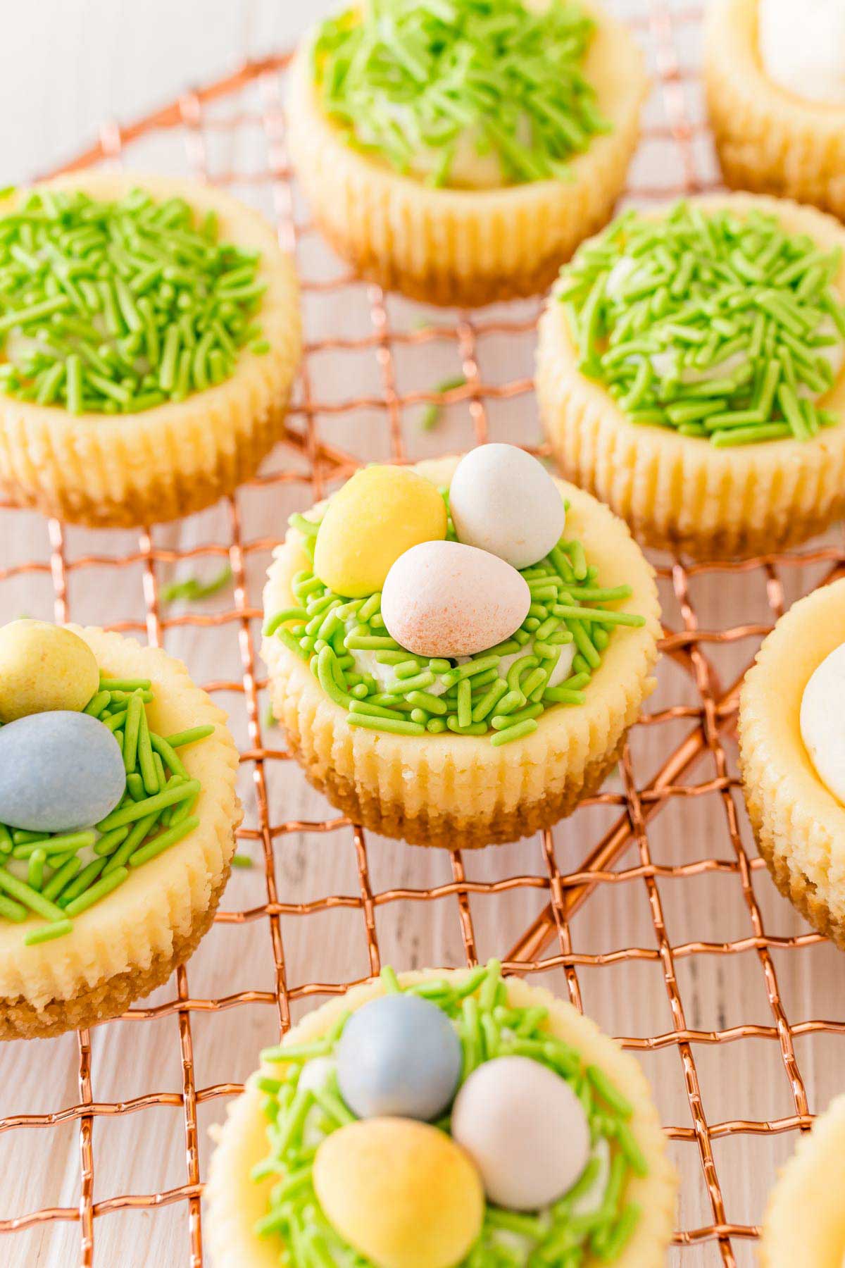 A group of mini egg cheesecake on a baking sheet