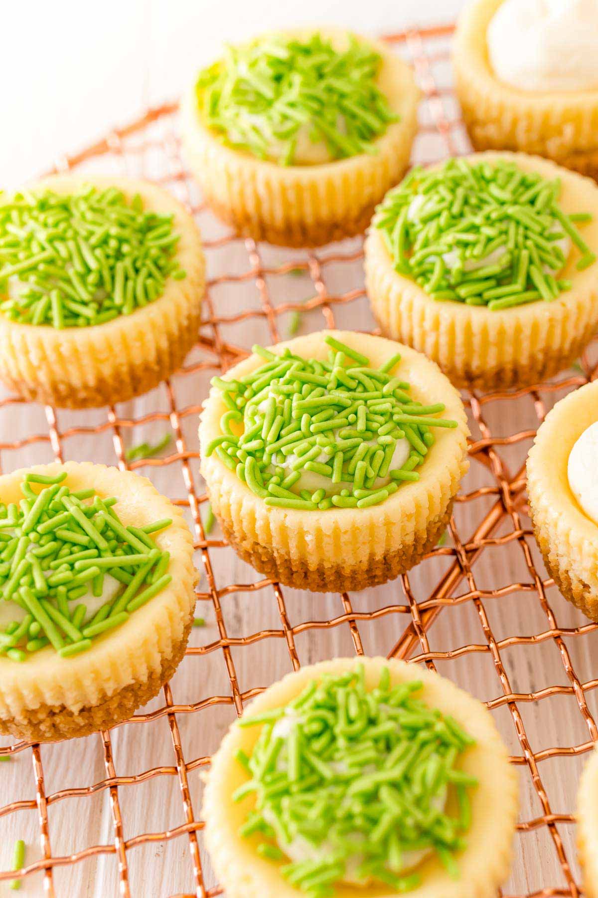 group of mini egg cheesecake with green sprinkles on top