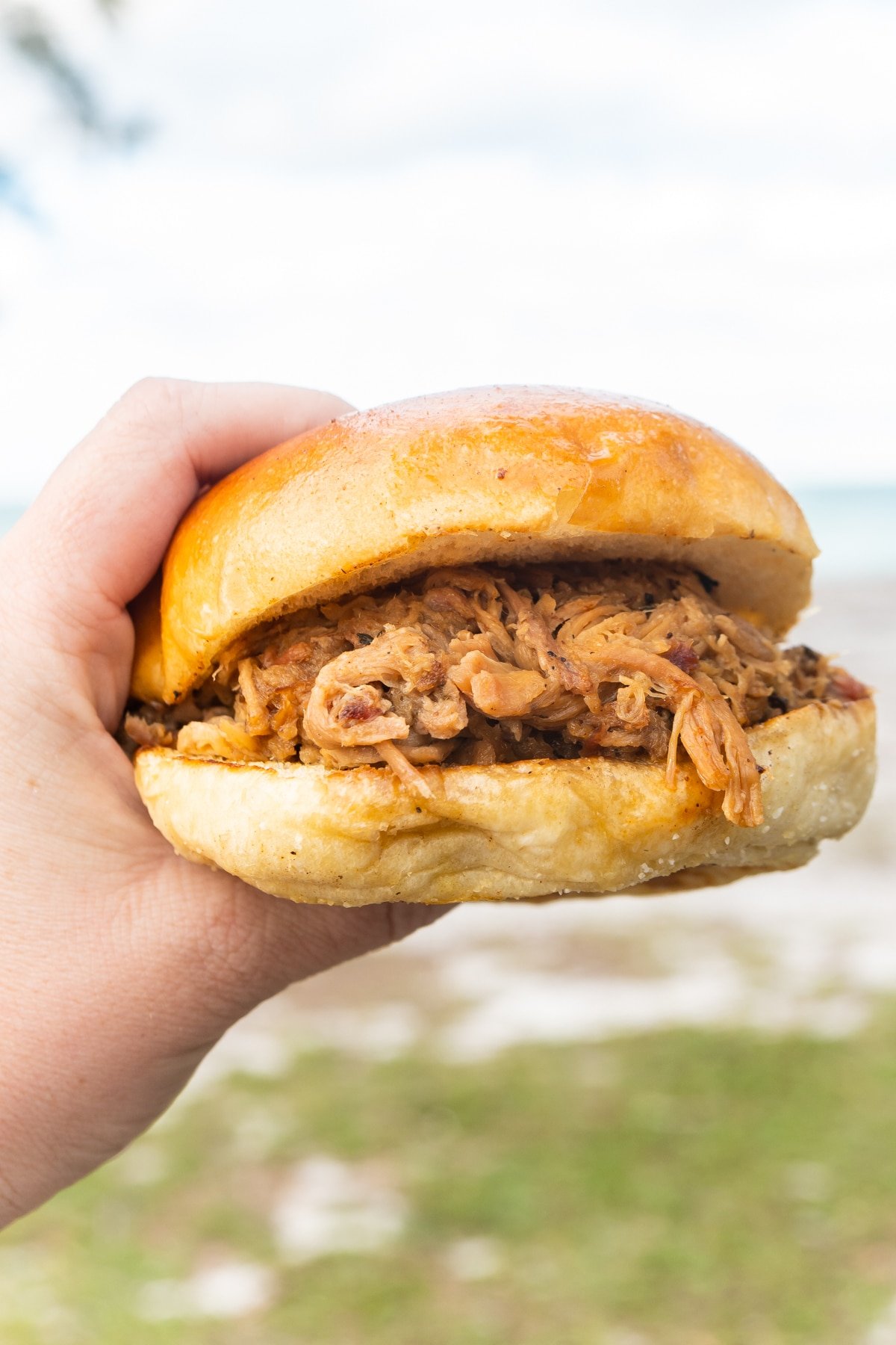 Hand holding a pulled pork sandwich