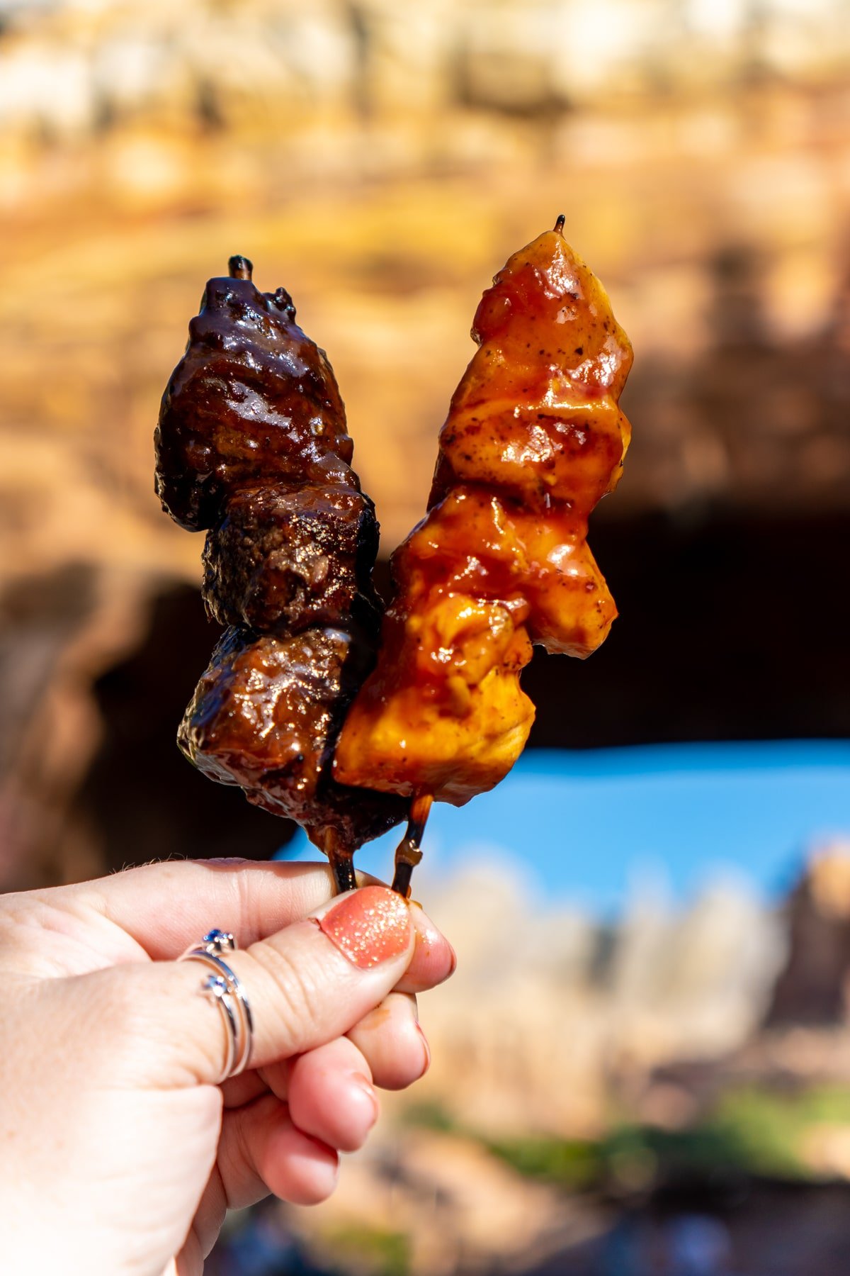 Bengal skewers from Disneyland