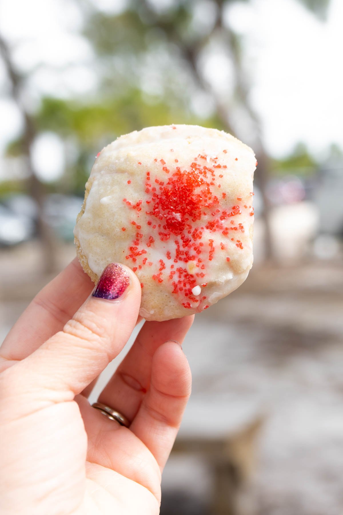 Woman's hand holding a sugar cookie