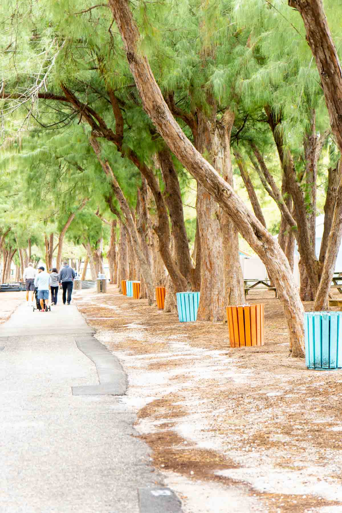 Walking trail with colored trash cans