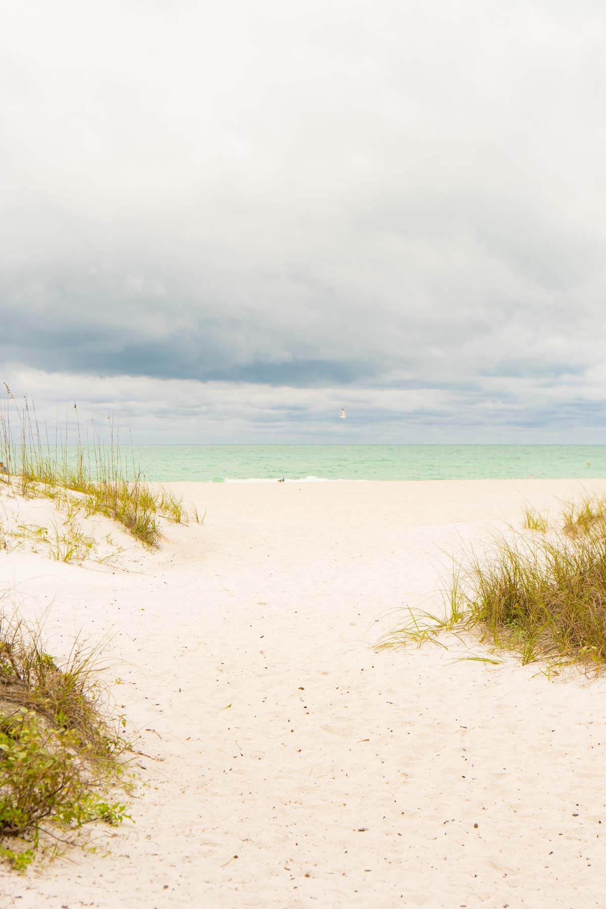 Path of sand leading to beach