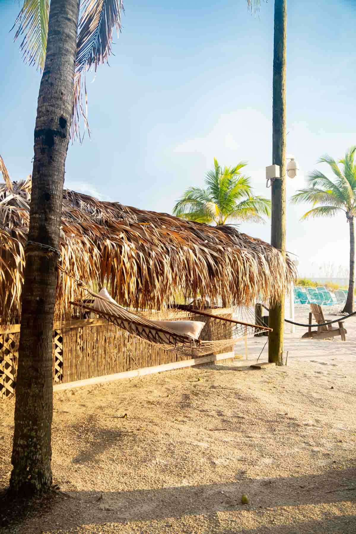 hammock on the beach