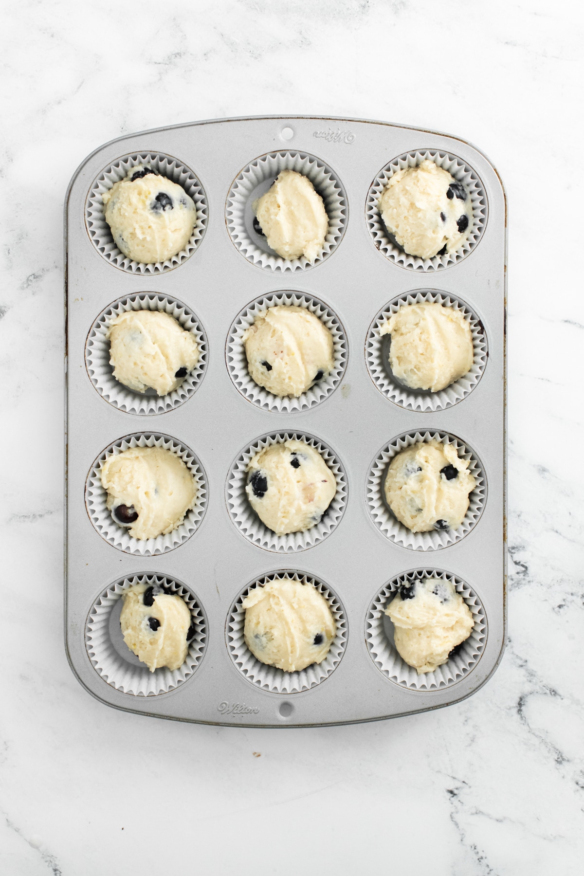 unbaked lemon blueberry muffins in a muffin tin