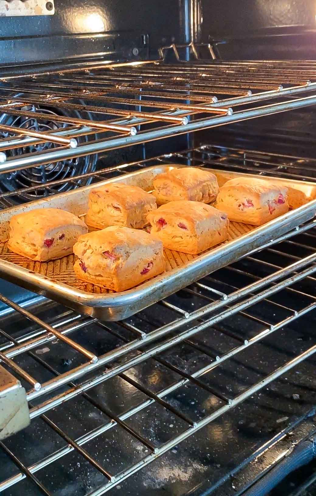 cranberry orange scones on a baking sheet in the oven