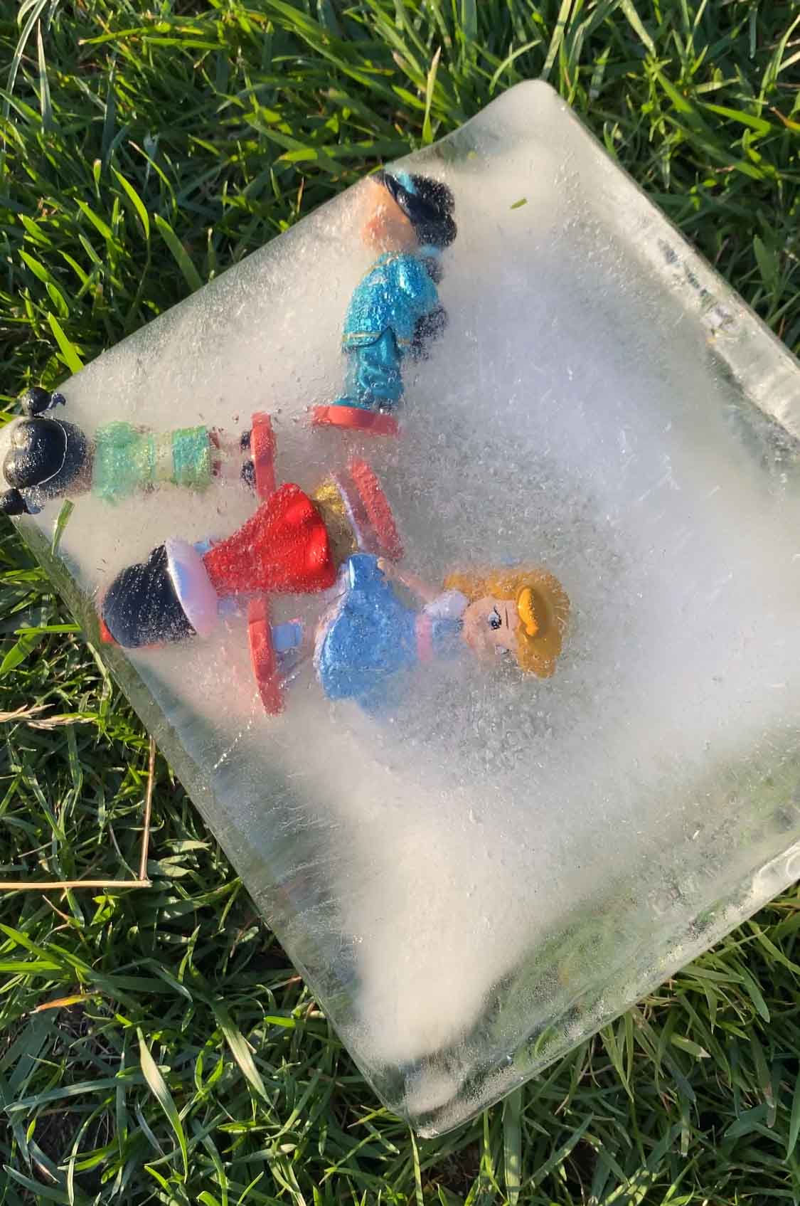 princess figurines frozen in an ice block