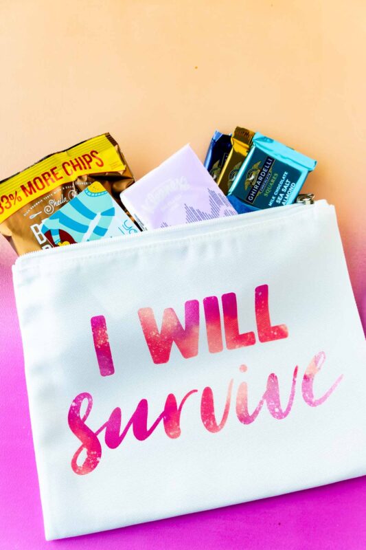 cosmetic bag with I will survive on it