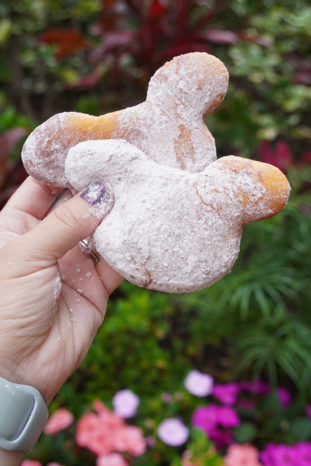 hand holding two Mickey beignets