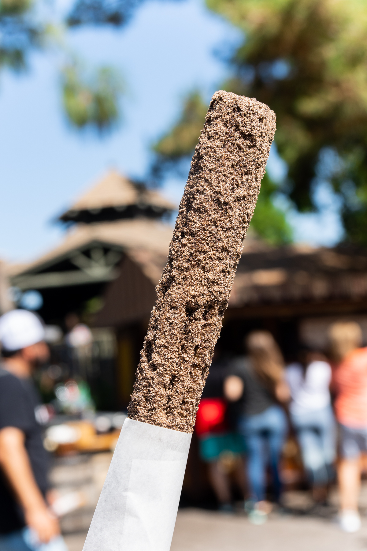 chocolate coated Groom's churro in Disneyland