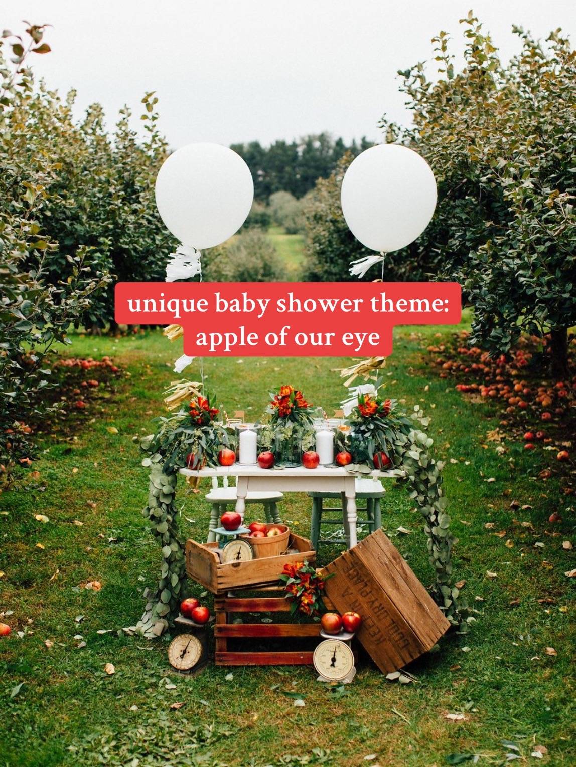 apple party setup in an apple orchard