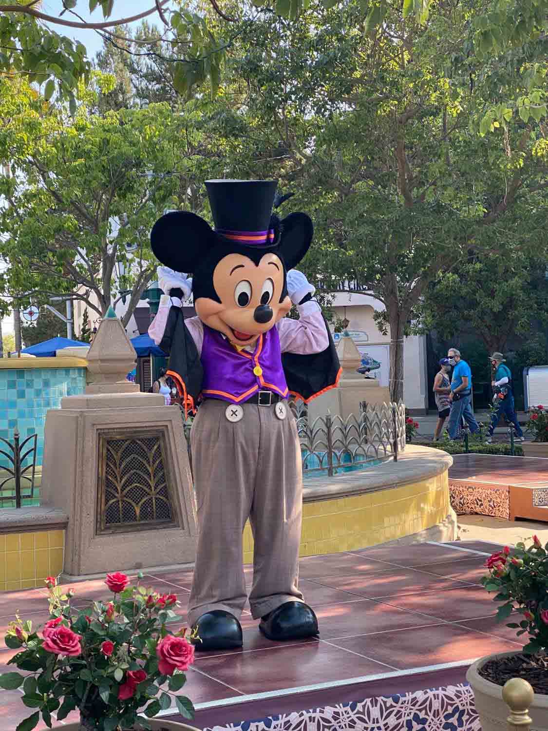 Mickey in Halloween costume