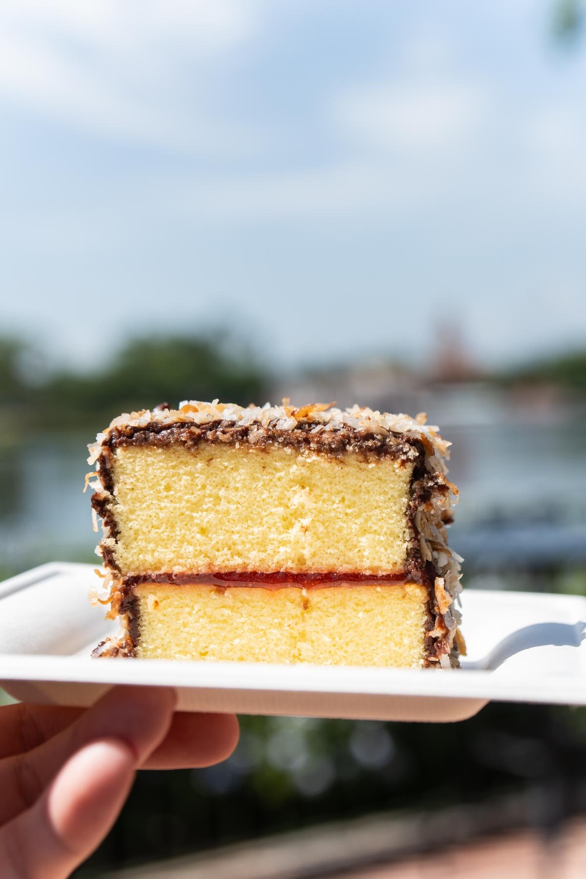 a slice of lamington cake on a black plate