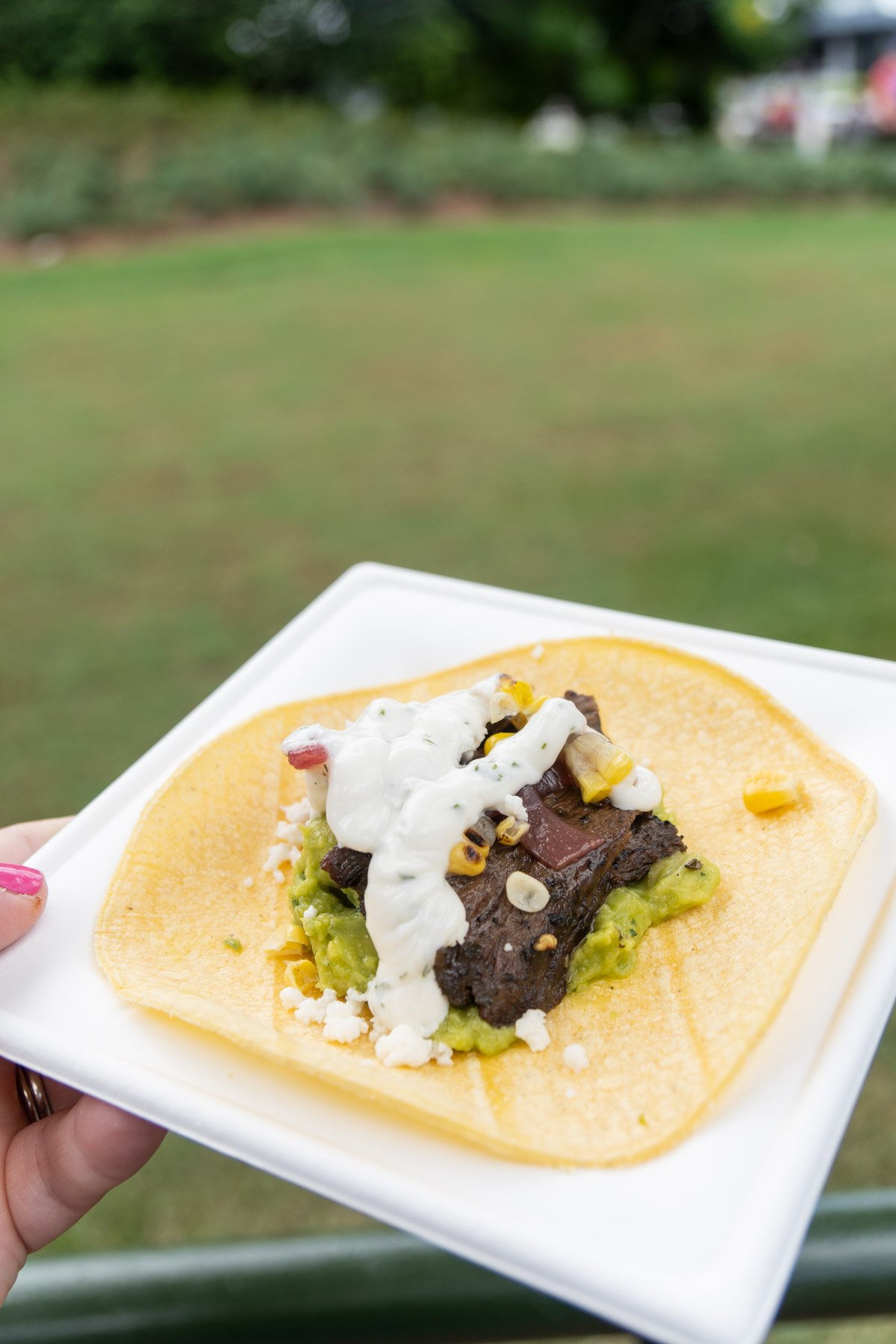 chimichurri steak taco at epcot food and wine festival