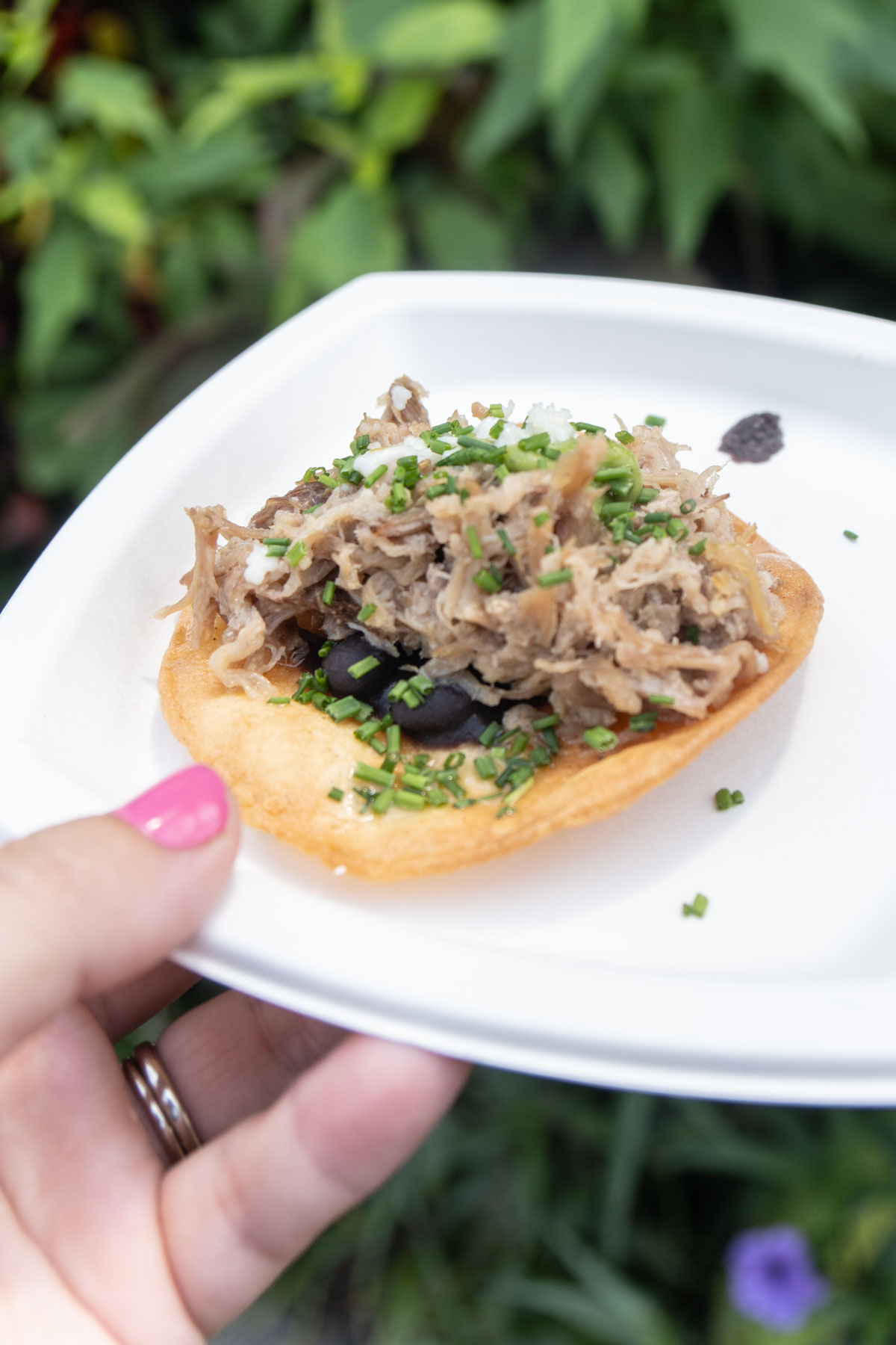 hand holding a white plate with a pork tostada