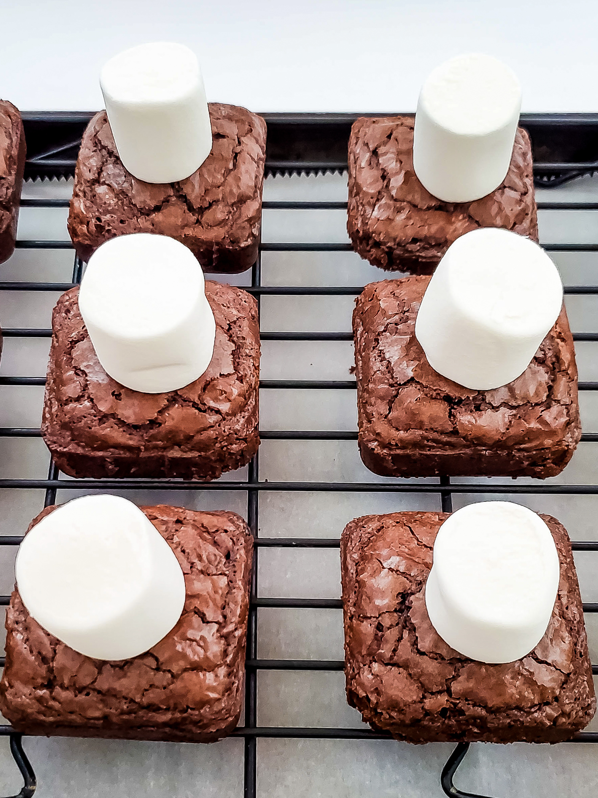 square brownies with a marshmallow on top