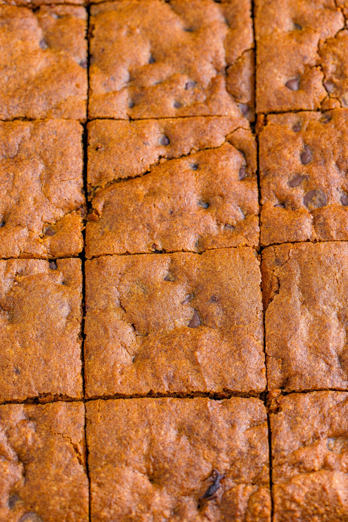 cut pumpkin blondies